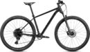 Radon ZR Team 8.0
