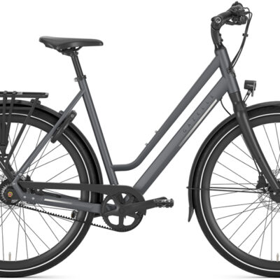 Gazelle Chamonix S11 Low-Step