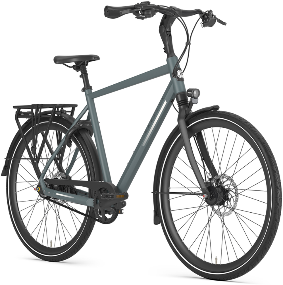Gazelle Chamonix S8 – Bild 2